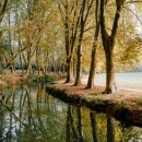 생명의 시작 이미지