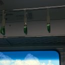 상수목장 이미지