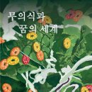 꿈의세계 이미지