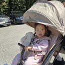 금강루 | 평창 월정사 전나무숲길 가을 여행/ 아이와 함께 가족,연인 힐링 코스