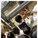 인천대공원 어린이 동물원 (행복한 점심~^^) 이미지