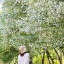 천봉 이미지