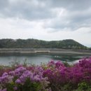 호명해와달 이미지