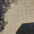 아휴더워 이미지