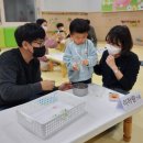 남구구립어린이집 | 어린이집 부모참여 행사 - 개구리버거 만들기 / 광주광역시 남구 구립 시티별 어린이집