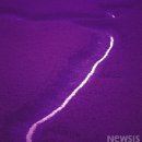 신일치과의원 이미지