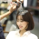 다비드헤어 이미지