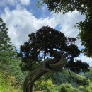 이화 행정사 사무소 이미지