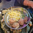 군산수족관 이미지