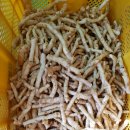 둥글레차 구증구포 만들기 이미지