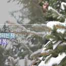 시41편 / 시41편1~13 요한 서울교회를 섬기는 목사 백상욱입니다. 이미지