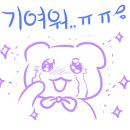 다온애견샵 이미지