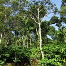 신철농장 이미지