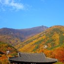 표충사 이미지