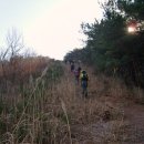 영남알프스의 외톨이...고헌산(울산 1,033m) 이미지