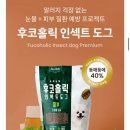 피부홀릭