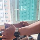 청주인테리어필름 홍군 / 오창 아파트 리폼 후기 – 이안 아파트 인테리어필름으로 새단장 (s243, s156)