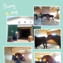 녹원목장 이미지