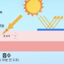 블루밍뷰티 이미지