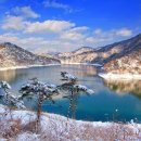 162-2-000008 Daum카페