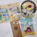 도그바스캣