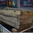 계룡산자연사박물관 이미지