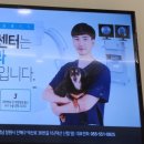 진해동물의료센터 이미지