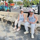 힐링톡한의원 | 다누앤 X 센스홍 공동구매