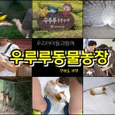 백룡농장 이미지