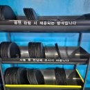 경기도 데이트코스 아쿠아플라넷 일산 바다코끼리 자매 구경하기