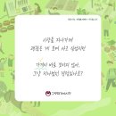 고령대가야시장 이미지