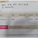 용곡초 | 용곡초영어학원 삼성영어셀레나 용곡학원, 영어 교육의 새로운 지평을 열다