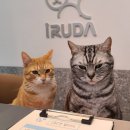 다호동물병원 이미지