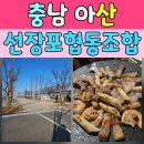 명성캠핑장 | 노을이 예쁜 캠핑장 선장포협동조합 겨울 캠핑 후기