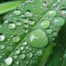 꿈꾸는뜨락 이미지