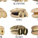 오니디저트
