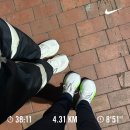배기연미용기능장의집 | 근황. 여행은 짧고 후유증은 길다