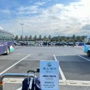 제주도 혼자여행 코스 용두네해장국, 미도호스텔, 서귀포매일올레시장[여자혼여 1일차]