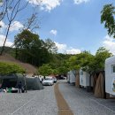 BHC안성 - 안성시 안성맞춤대로 1063-1 | 안성 용설호 해바라기 캠핑장
