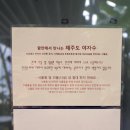 아라목장 | 함안카페 아라깨비베이커리식물원카페 후기