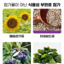 셀메드 현대약국 이미지