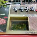 일생상회 이미지