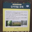 울산 태화강 십리대숲 티스토리