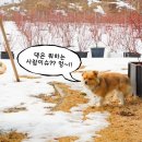 참골도예 이미지