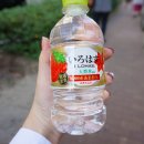 온천기물 이미지