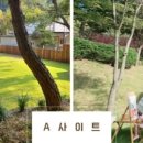 아빠의나무민박 이미지