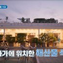 나나투어주 이미지