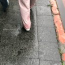 참조은 이비인후과 | 어서오세요 정대만의 숲2 + 귀 염증 째고 궁전 다녀온 후기