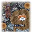 엘리쿠키 이미지