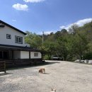 산내들민박2 | 포천애견동반숙소┃쓰담쓰담애견펜션